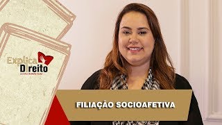 Explica Direito Filiação Socioafetiva  2019 [upl. by Okramed]