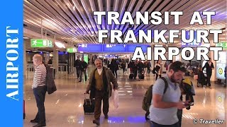 TRANSIT WALK AT FRANKFURT Airport FRA Terminal 1  Connection Flight Transfer Arriving amp Departing [upl. by Ecnarolf]